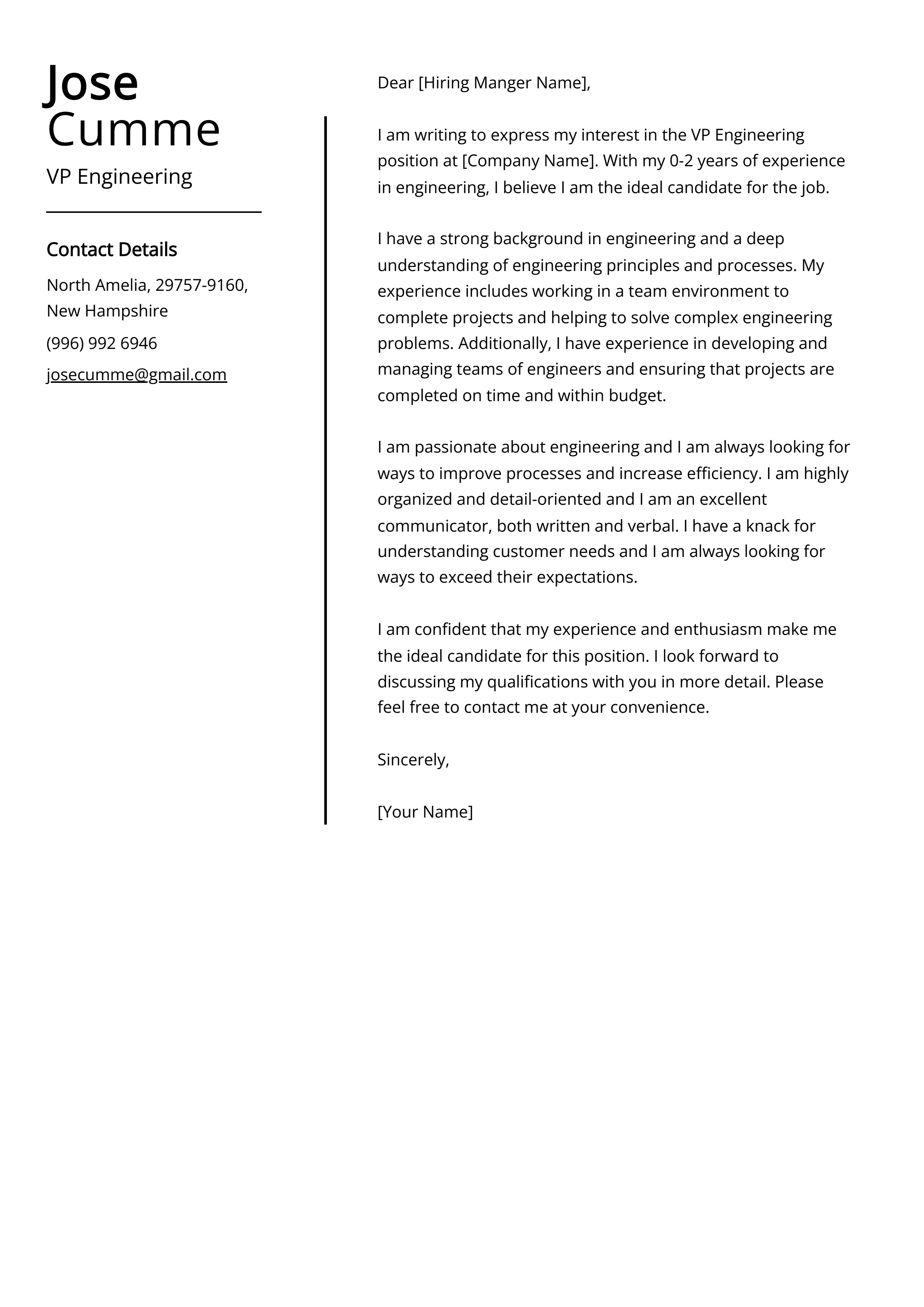 VP Engineering Cover Letter Examples & Guide
