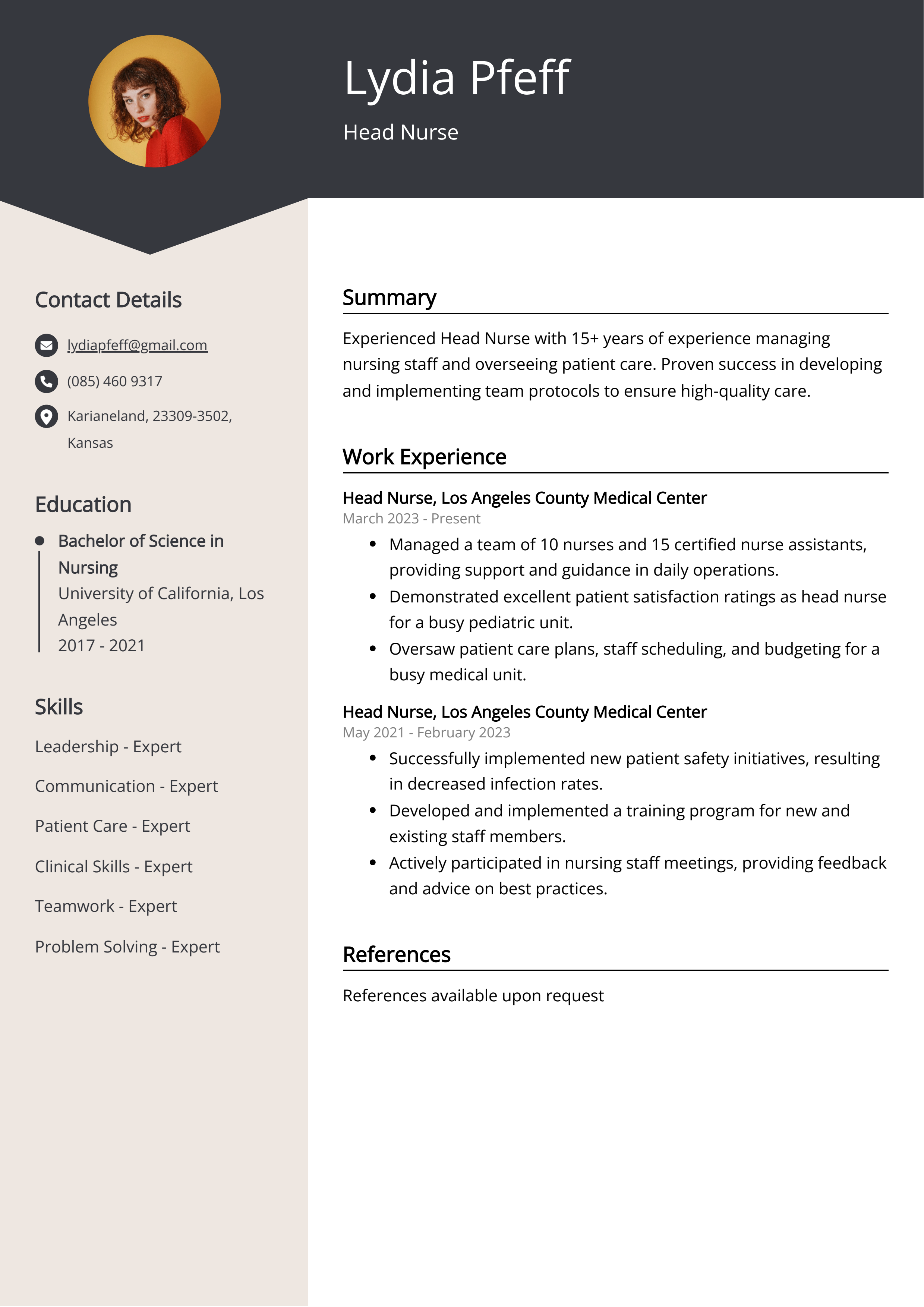 head-nurse-cv-sample-guide-entry-level-senior-jobs