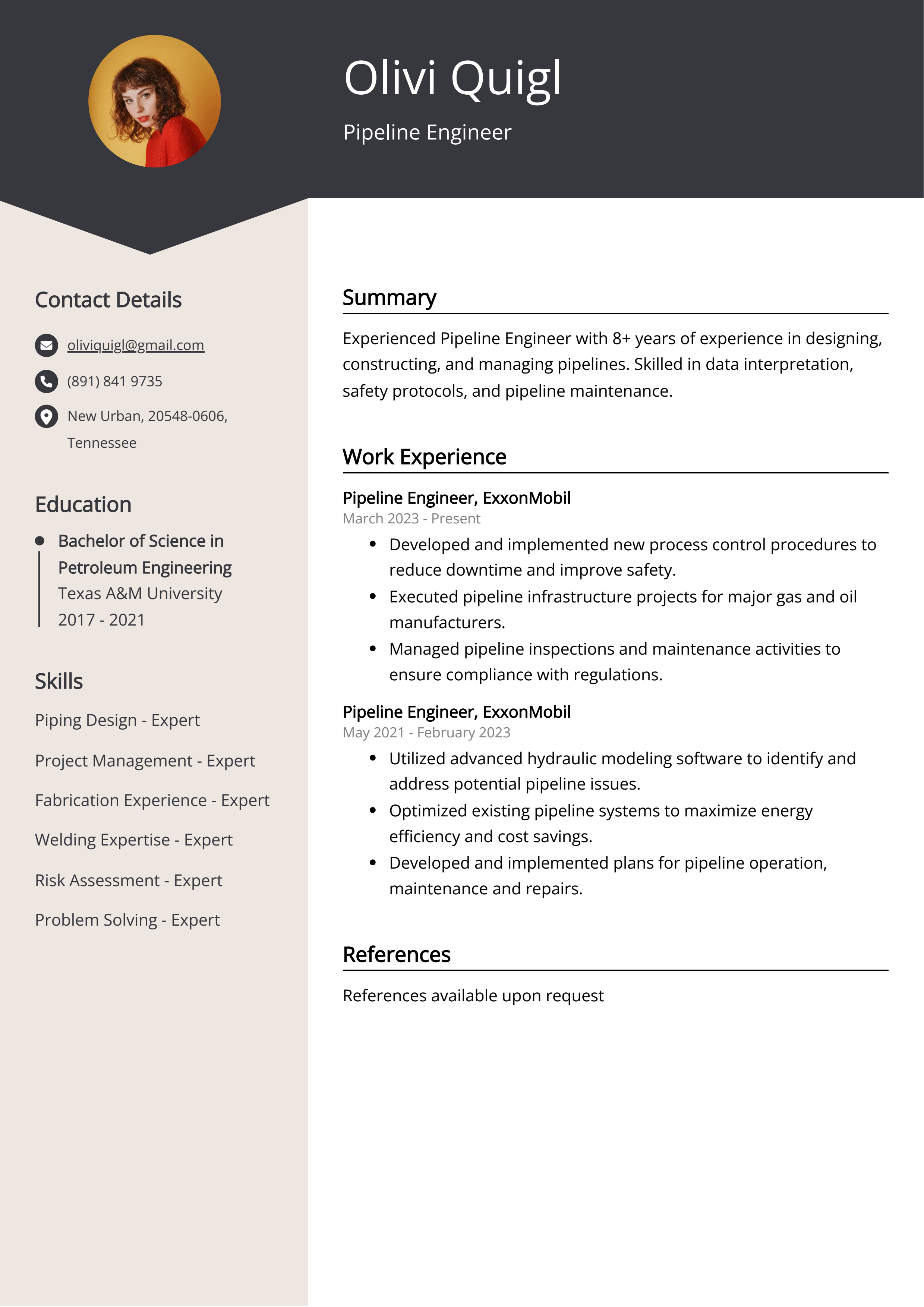 Pipeline Engineer CV Examples (Template & 20+ Tips)