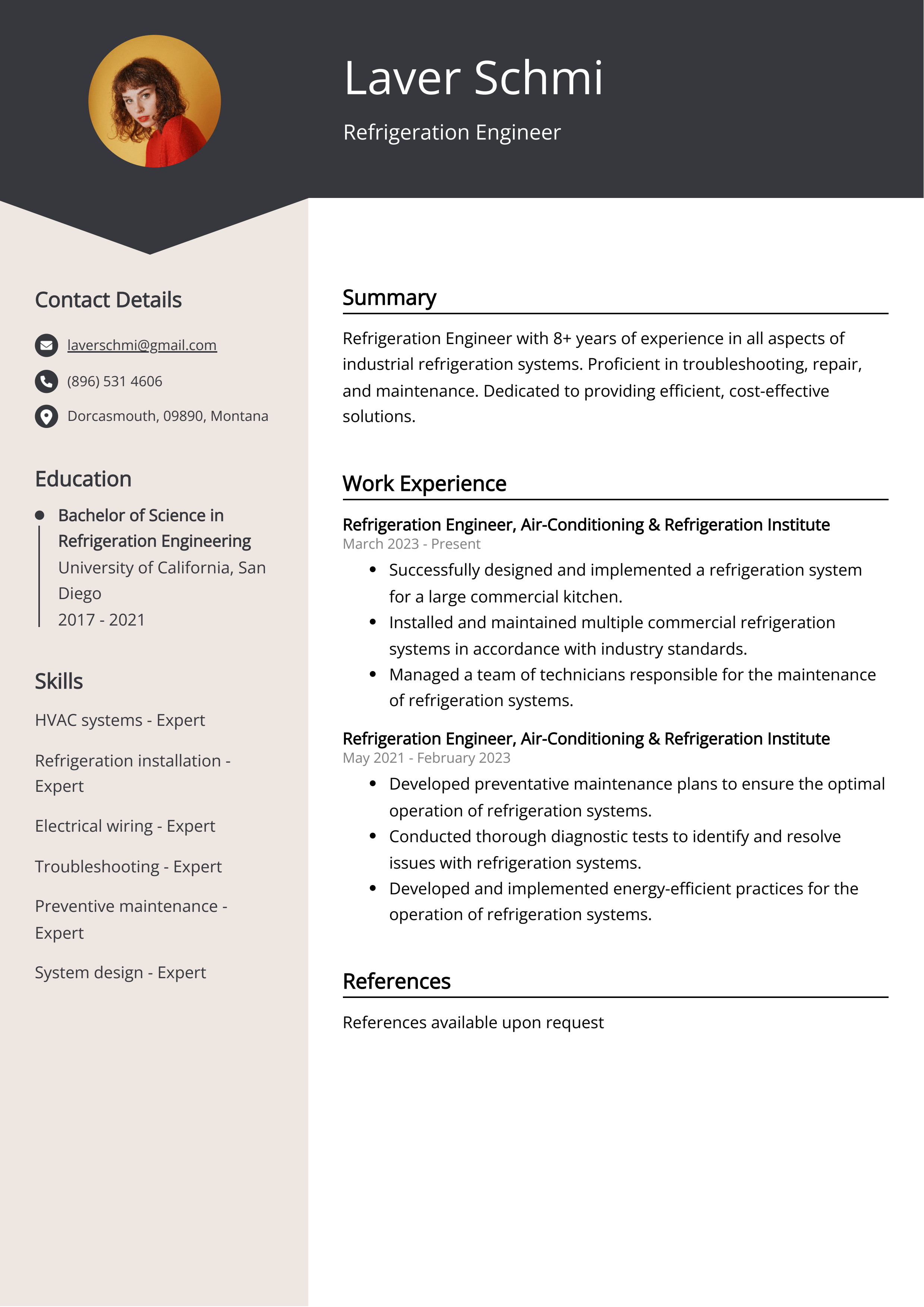 Refrigeration Engineer CV Examples (Template & 20+ Tips)