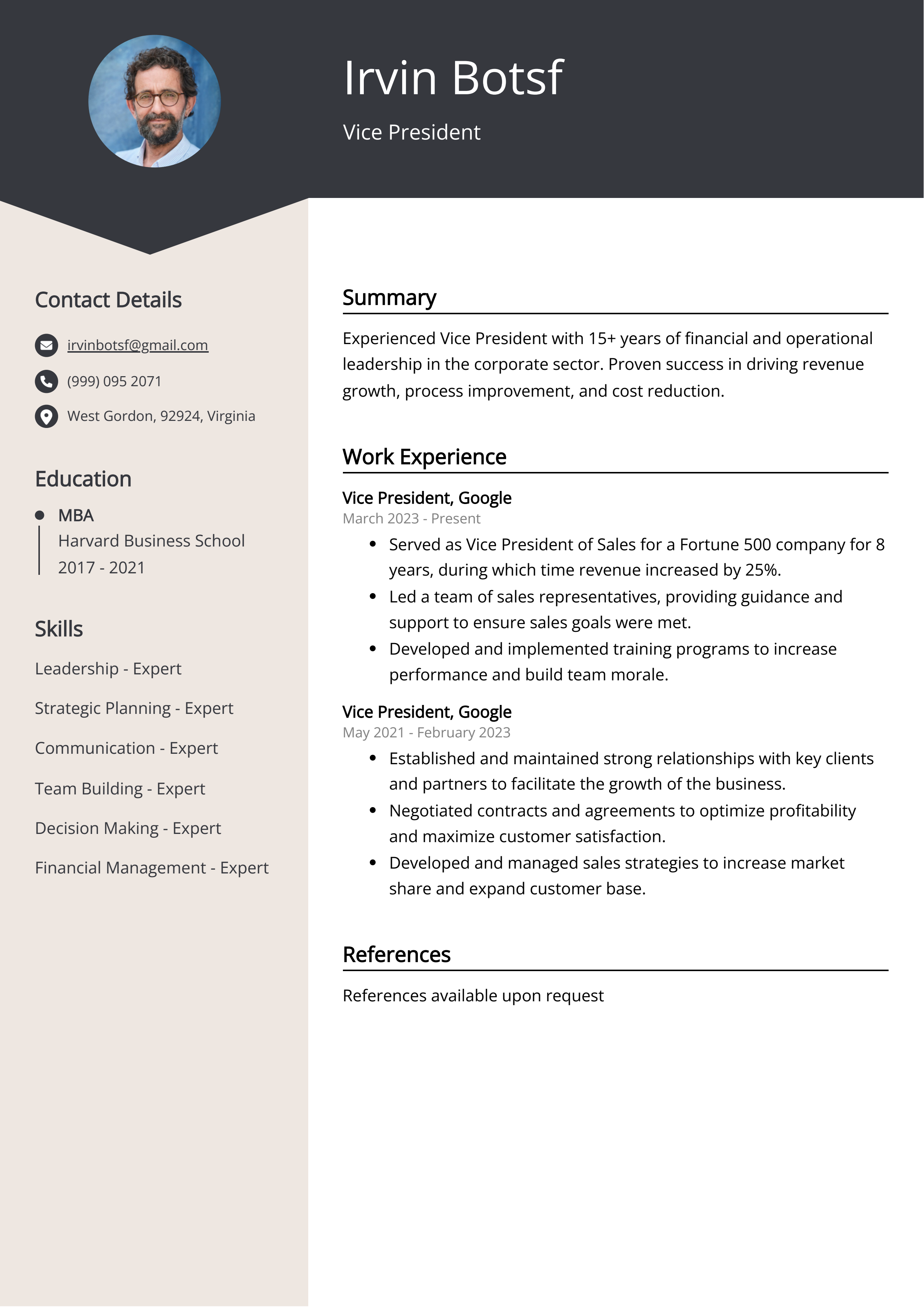 Vice President CV Examples Guide