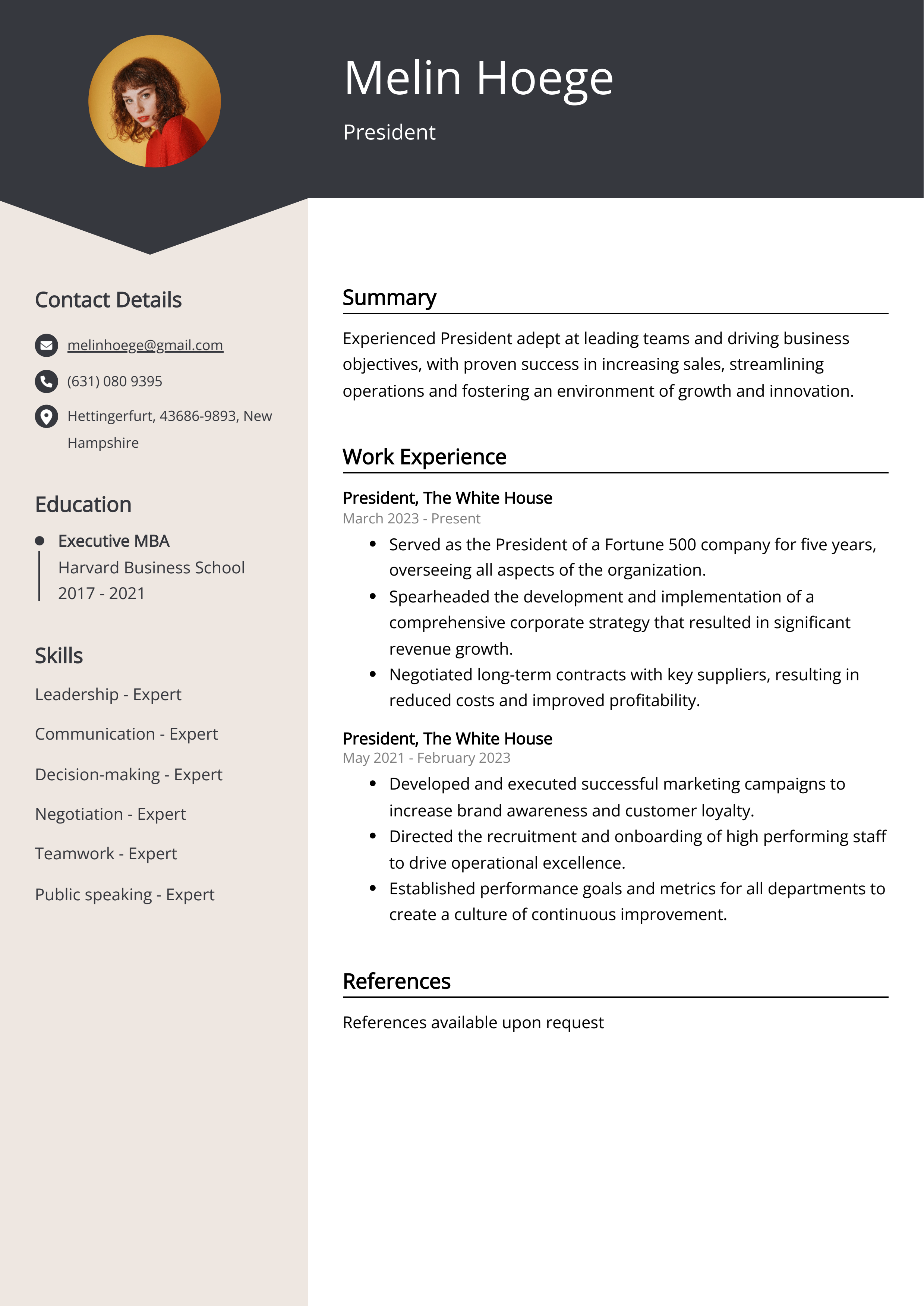 President Resume Examples Template - President Resume Example 