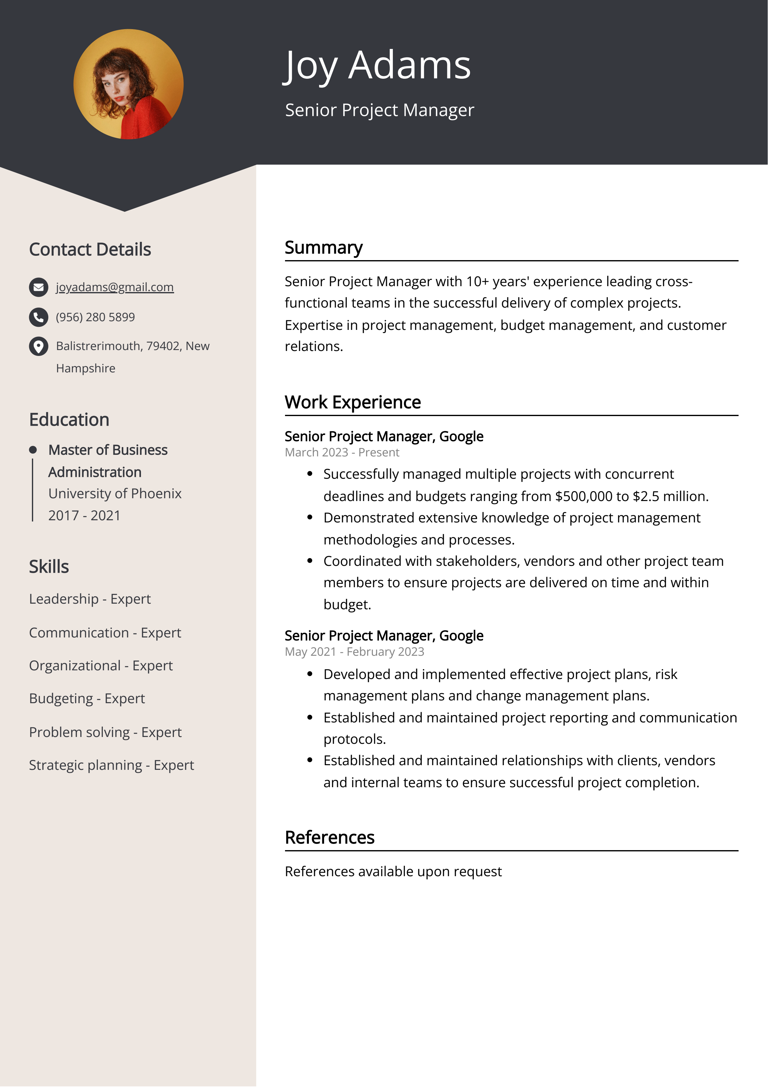 Senior Project Manager Resume Examples - Senior Project Manager Resume Example 
