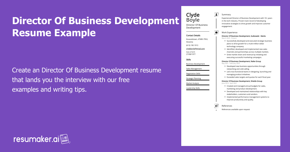 Director Of Business Development - Director Of Business Development Resume Example 